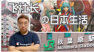 宝可梦开卡环节