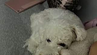 一起舞力全开