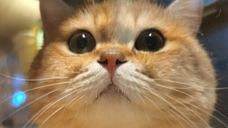 和高手打2v2 3884223