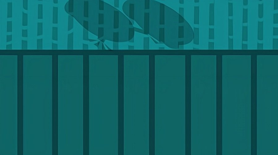 用户0139655301的直播间