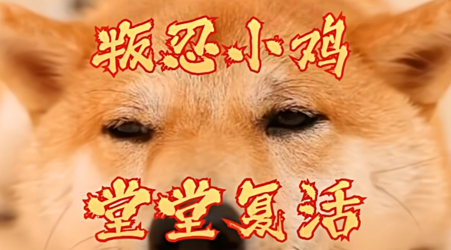 月初不努力，月末做兄弟