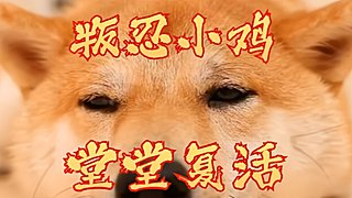 打造红12完美细节战法！