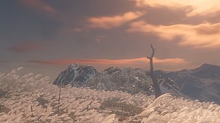 随便玩玩。。 12138246