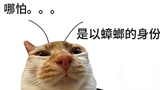 浑水摸の鱼