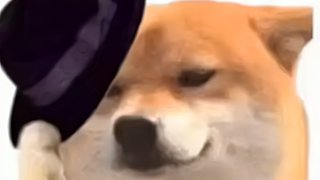 随便玩玩呀 131864