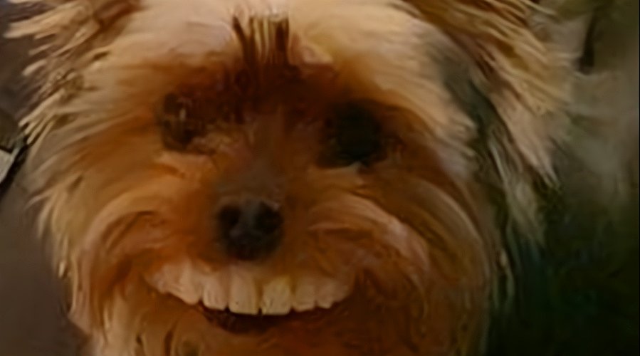 2026！祝大家万事如意！！大展宏图！！