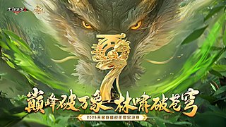 《大话西游2经典版》2025天梯巅峰战
