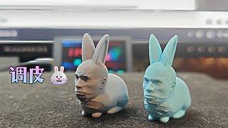 调皮兔的大哥