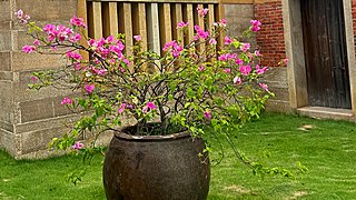 粉粉11469的直播间