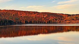 说完晚安你就睡了吗 12172825