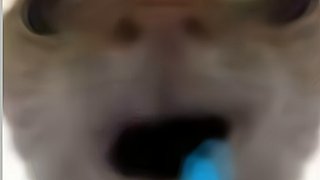 用户9392224823的直播间