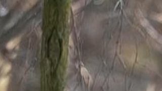 橙风破浪女团天草的直播间