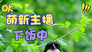 A00冬天来了的直播间