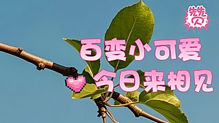 y9419754的直播间