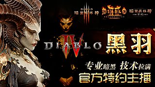 【暗黑4】❤针灸大师--圣骑士~！