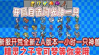 新服开荒！ZA版本宝可梦服务器
