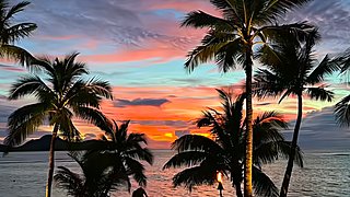 J391606818的直播间3032