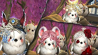 [第五人格]萌新