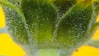 我有一把行者刀的直播间