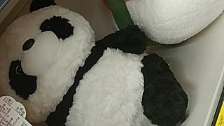 一个很弱的小菜鸡