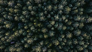忆梦别殇的直播间